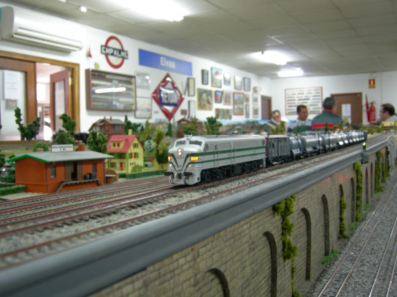 DSCN0205.JPG
