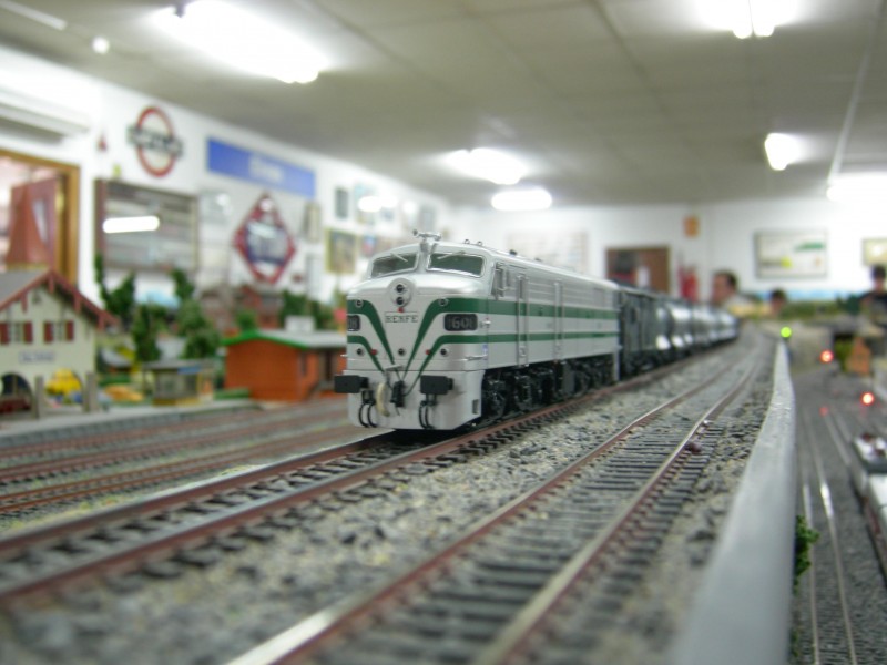 DSCN0207.JPG