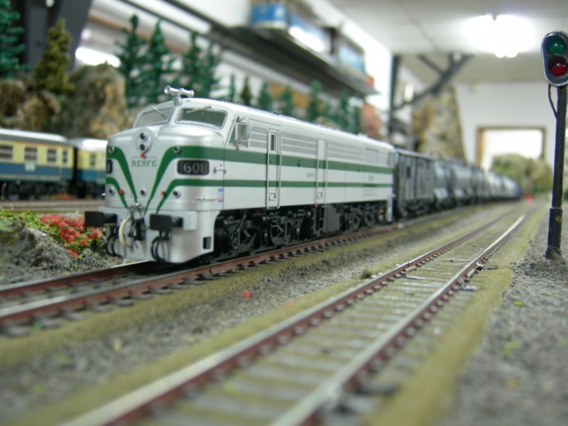 DSCN0208.JPG