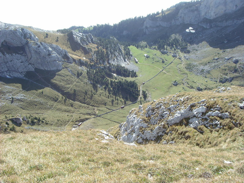 IMG_7528.JPG