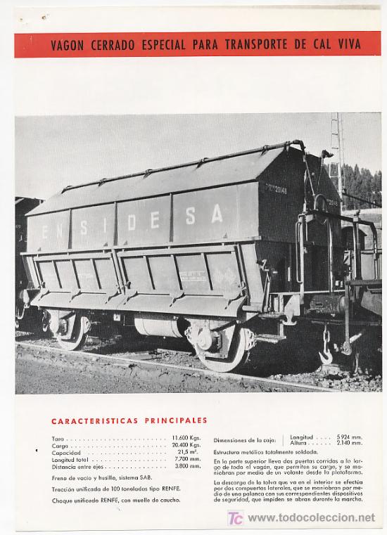 cal viva  (2).jpg