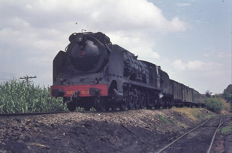 160074.jpg