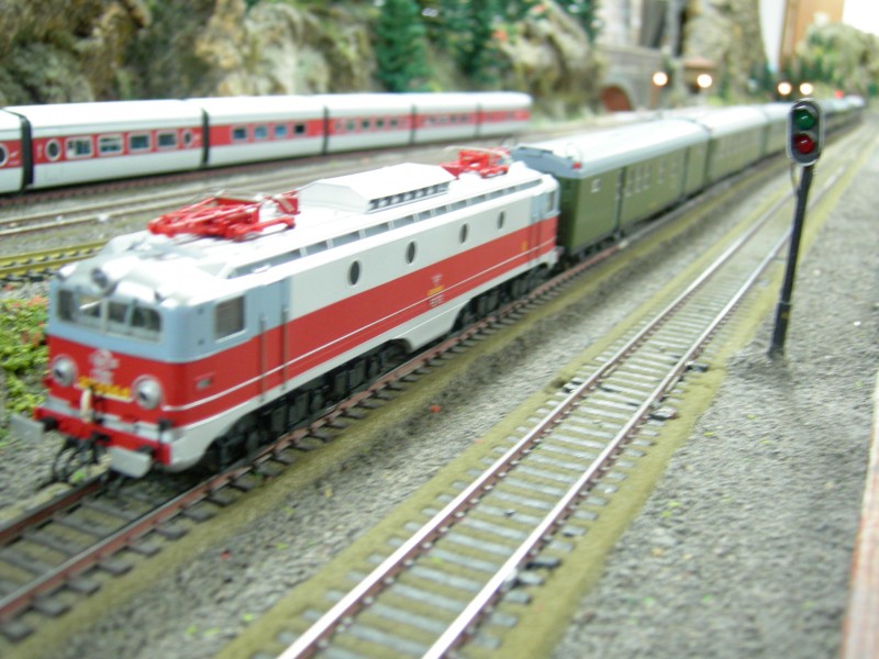 DSCN0213.JPG