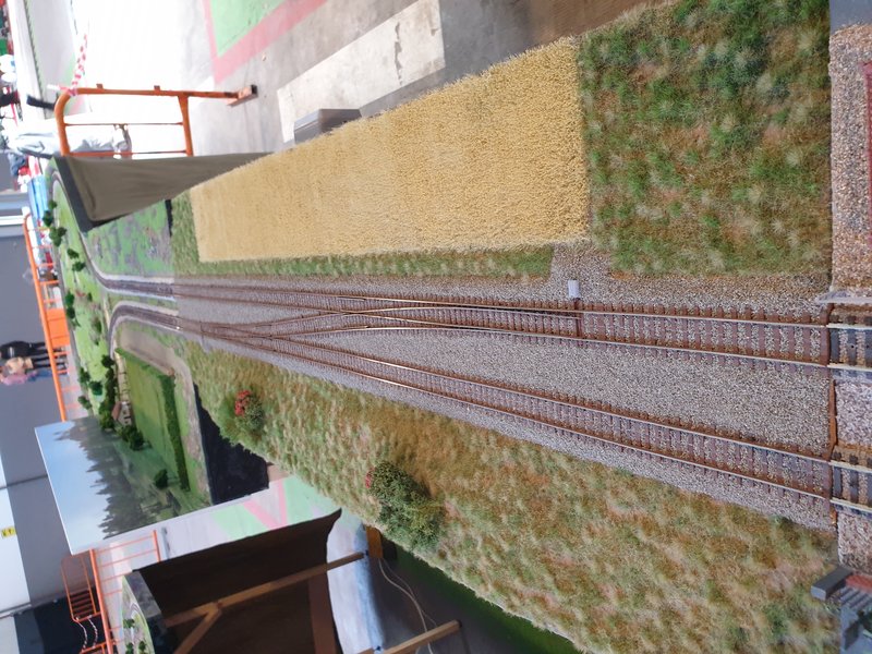 20230415_140454.jpg
