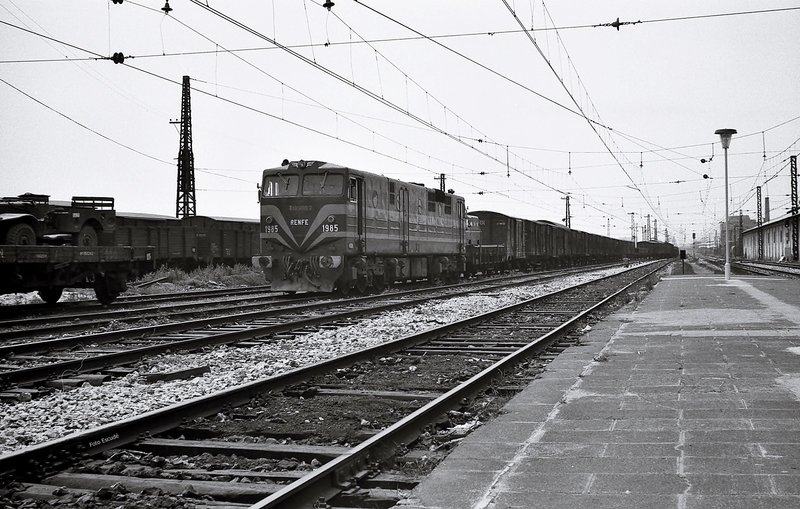 160075.jpg