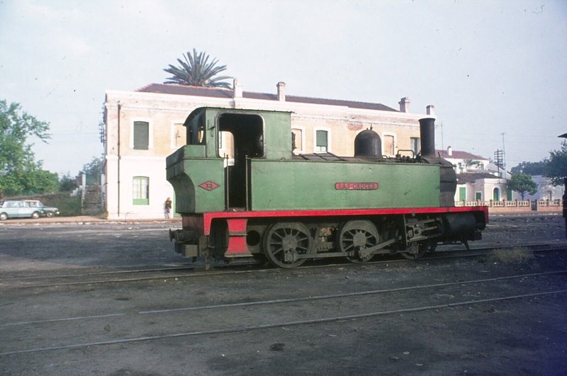 7801.jpg