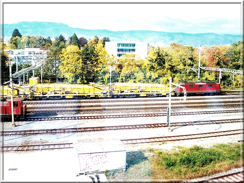 02.jpg