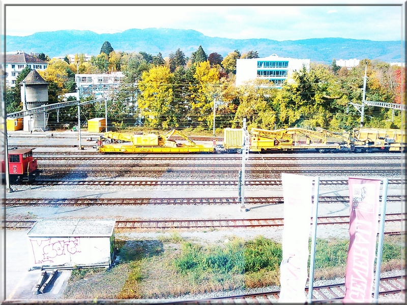 05.jpg