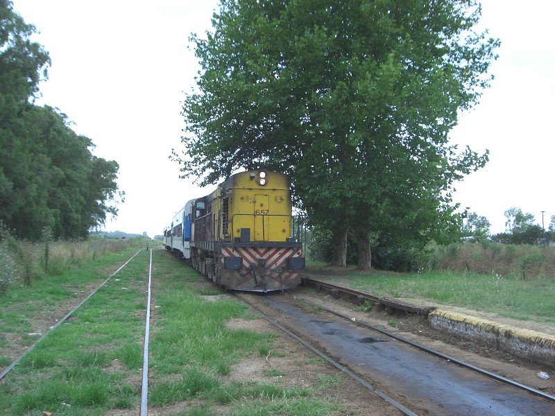 160076.jpg