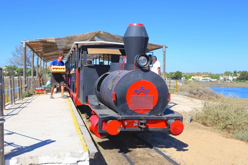 como-chegar-a-praia-do-barril-na-ilha-de-tavira.jpg