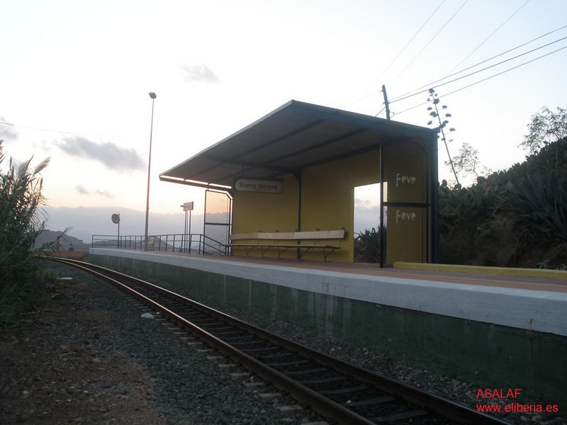 259.JPG