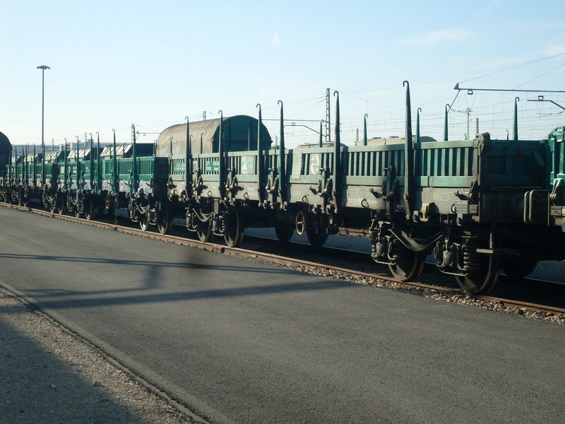 SDC14217.JPG