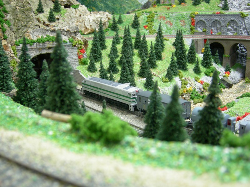 DSCN0217.JPG