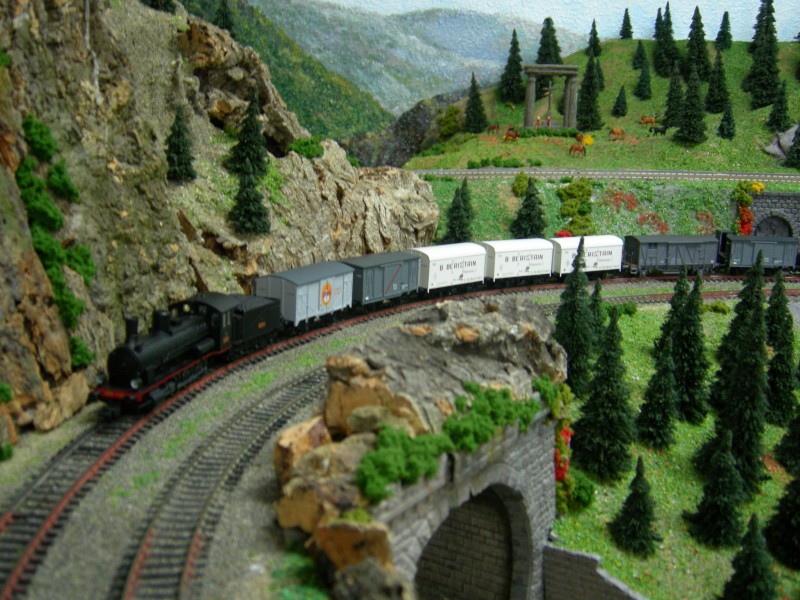 DSCN0218.JPG
