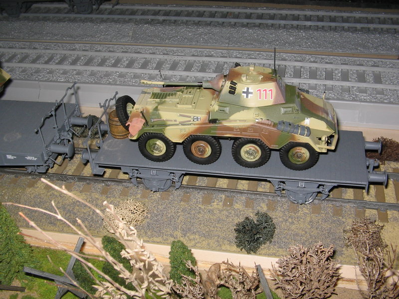 Ferro.Vagón con Puma.jpg