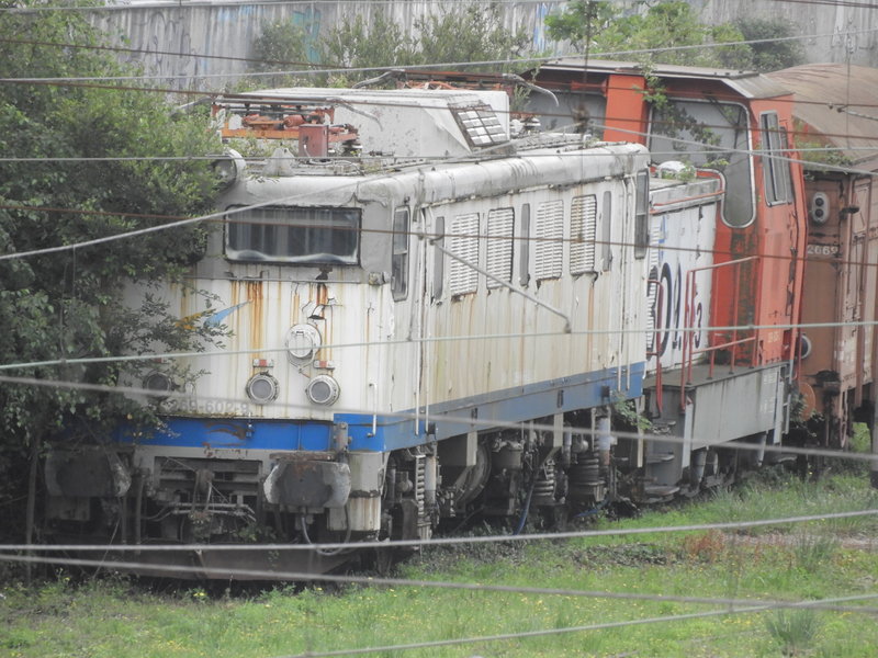 DSCN5880.JPG