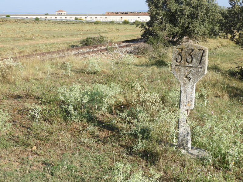 DSCN6225.JPG