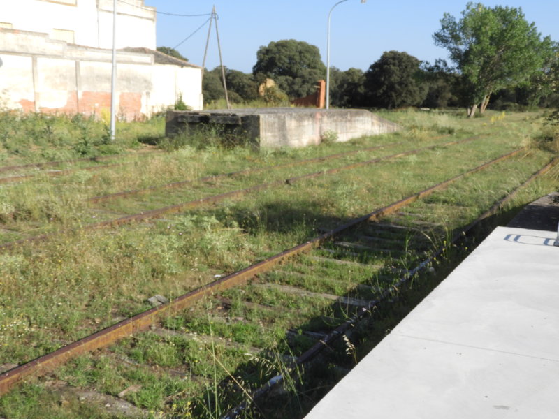 DSCN6230.JPG