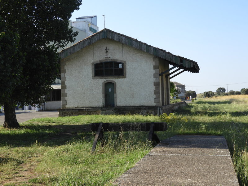 DSCN6231.JPG