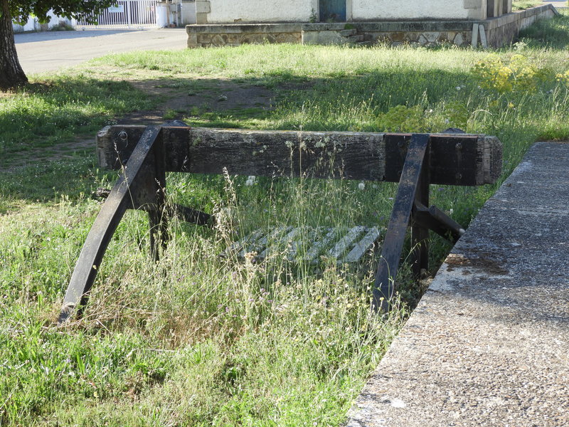 DSCN6232.JPG