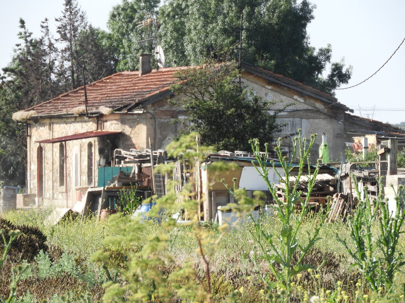 DSCN6245.JPG