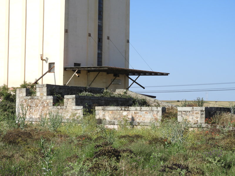 DSCN6249.JPG