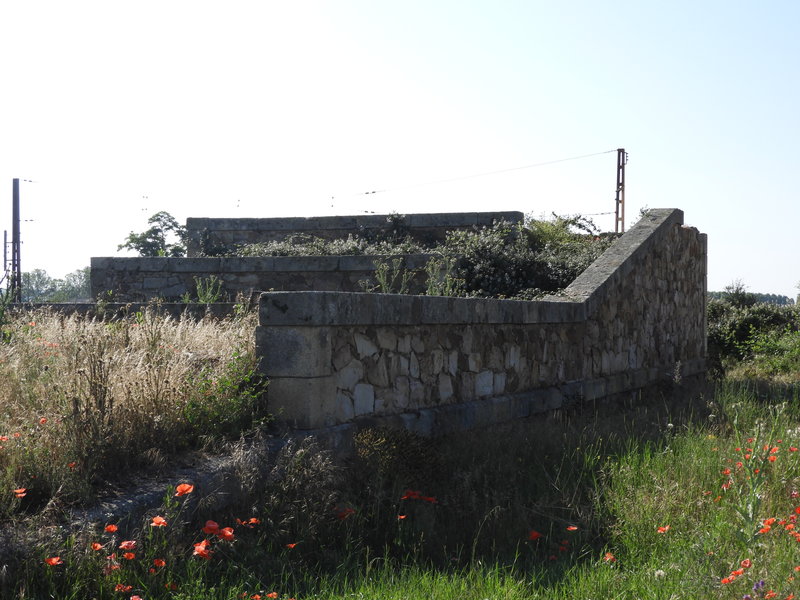 DSCN6257.JPG