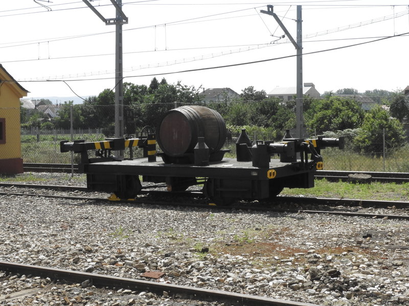 DSCN6488.JPG