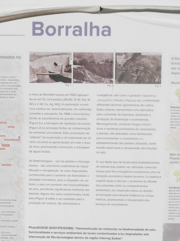 DSCN6518.JPG