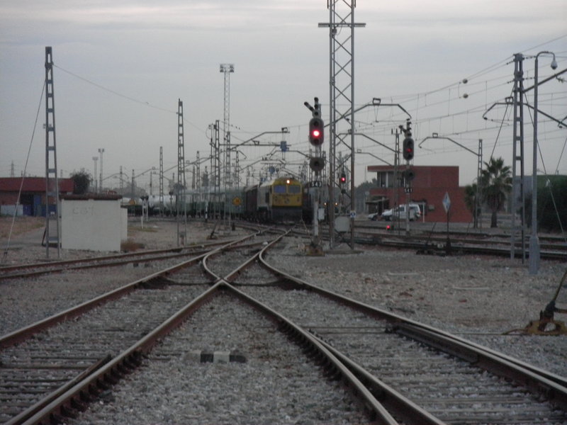 PA290450.JPG