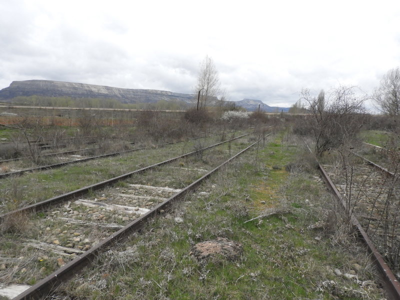 DSCN4213.JPG