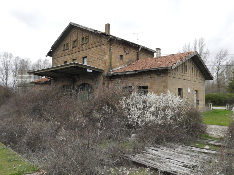 DSCN4223.JPG