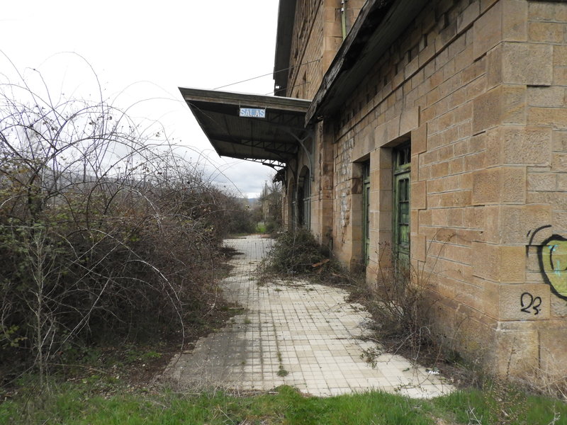 DSCN4224.JPG