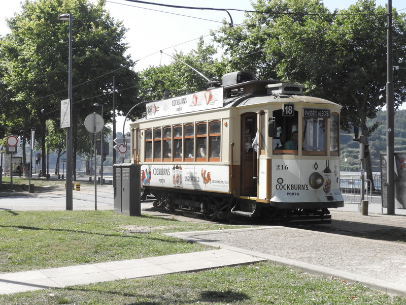 DSCN6889.JPG