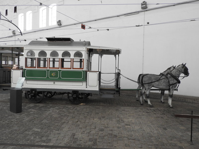 DSCN6893.JPG