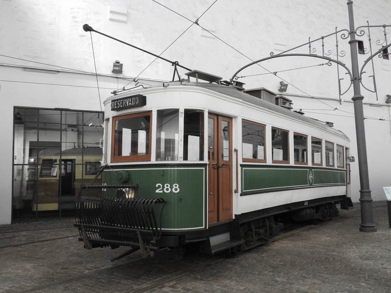 DSCN6902.JPG