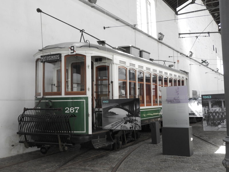 DSCN6917.JPG