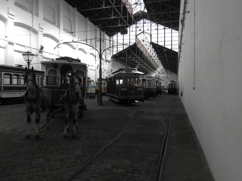 DSCN6955.JPG