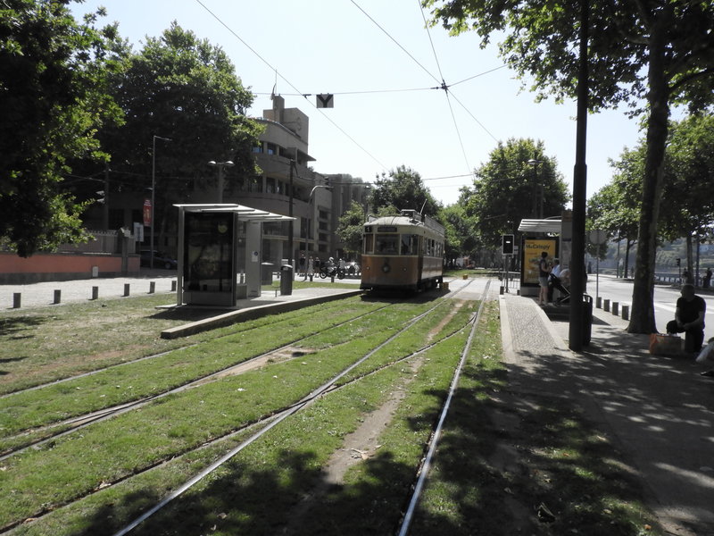 DSCN6961.JPG