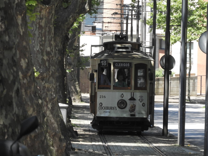 DSCN6984.JPG