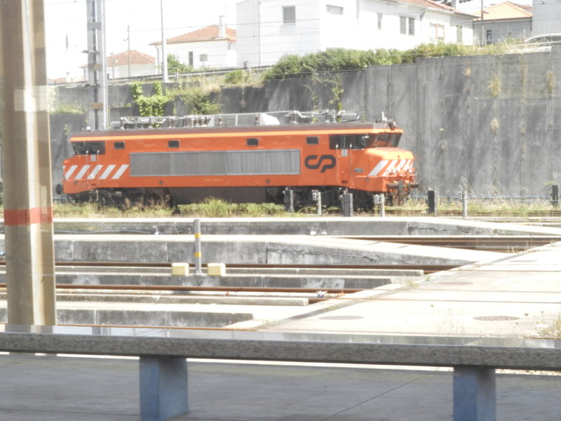 DSCN7004.JPG