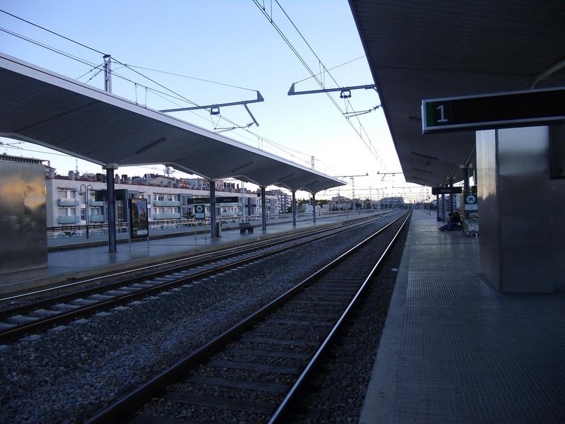 CIMG7246.JPG