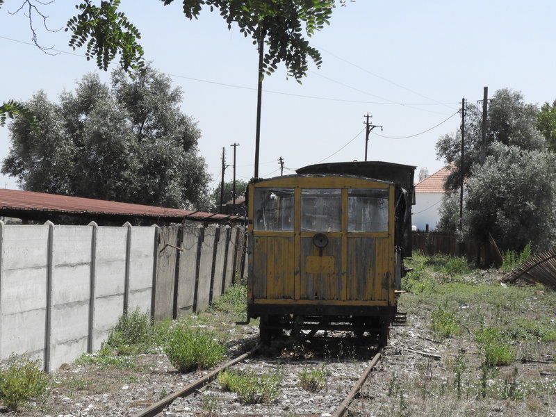 DSCN7051.JPG