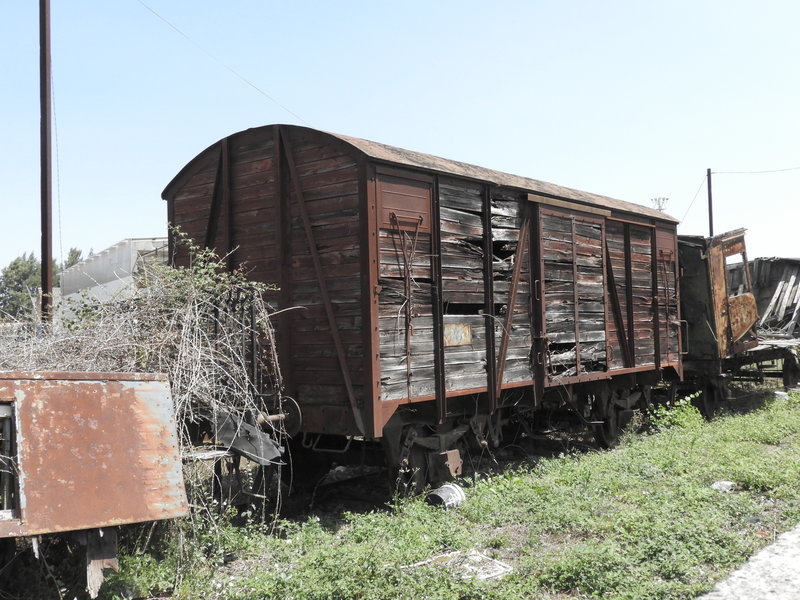 DSCN7061.JPG