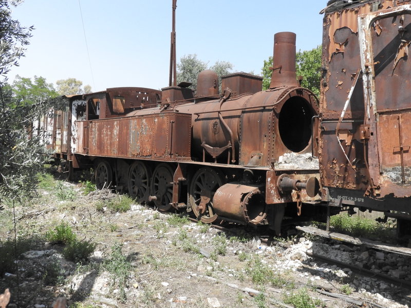 DSCN7065.JPG