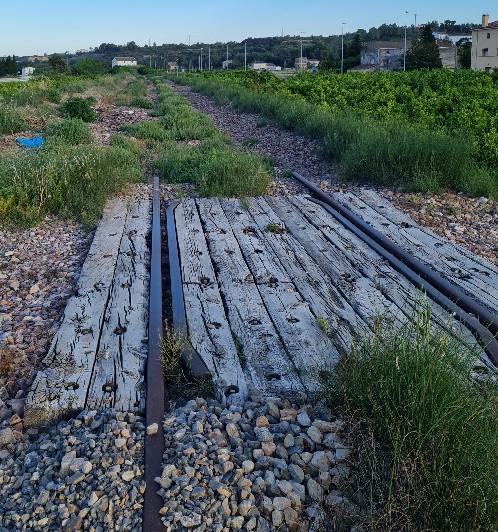 20230730_165809.jpg
