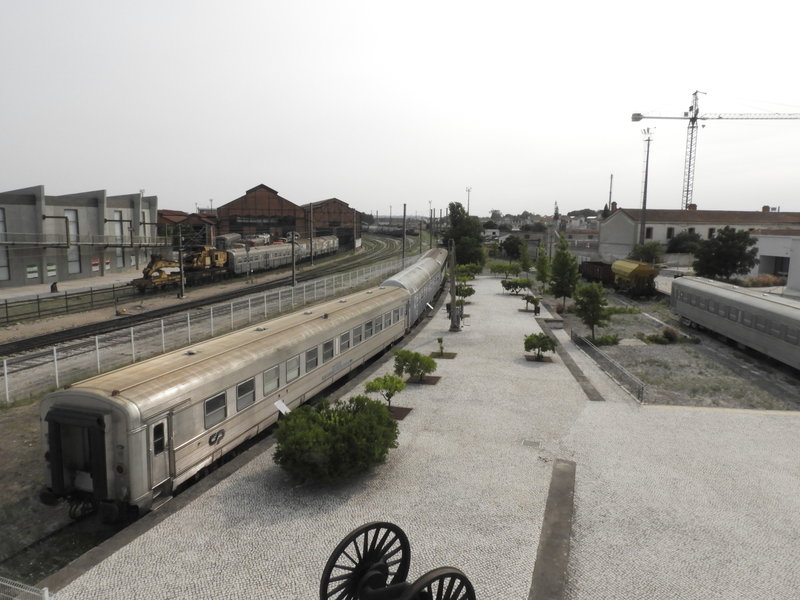 DSCN7153.JPG