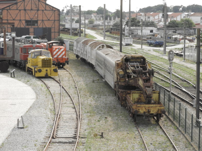 DSCN7161.JPG