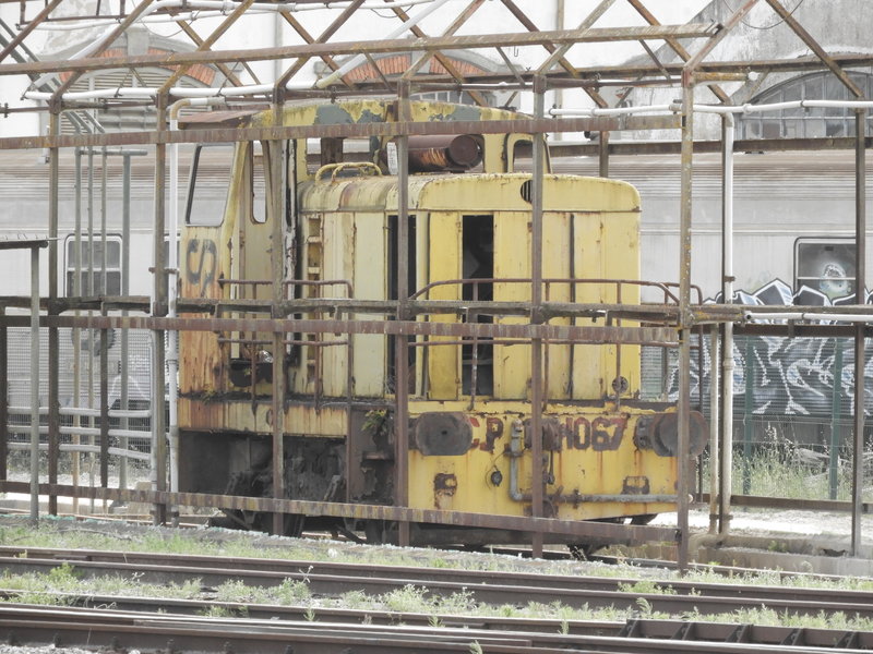 DSCN7196.JPG