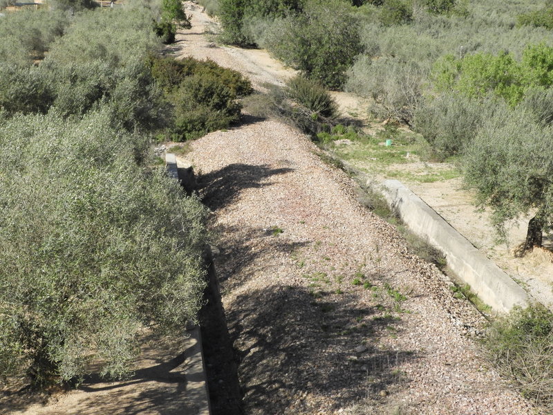 DSCN7532.JPG